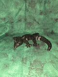 Black lizard