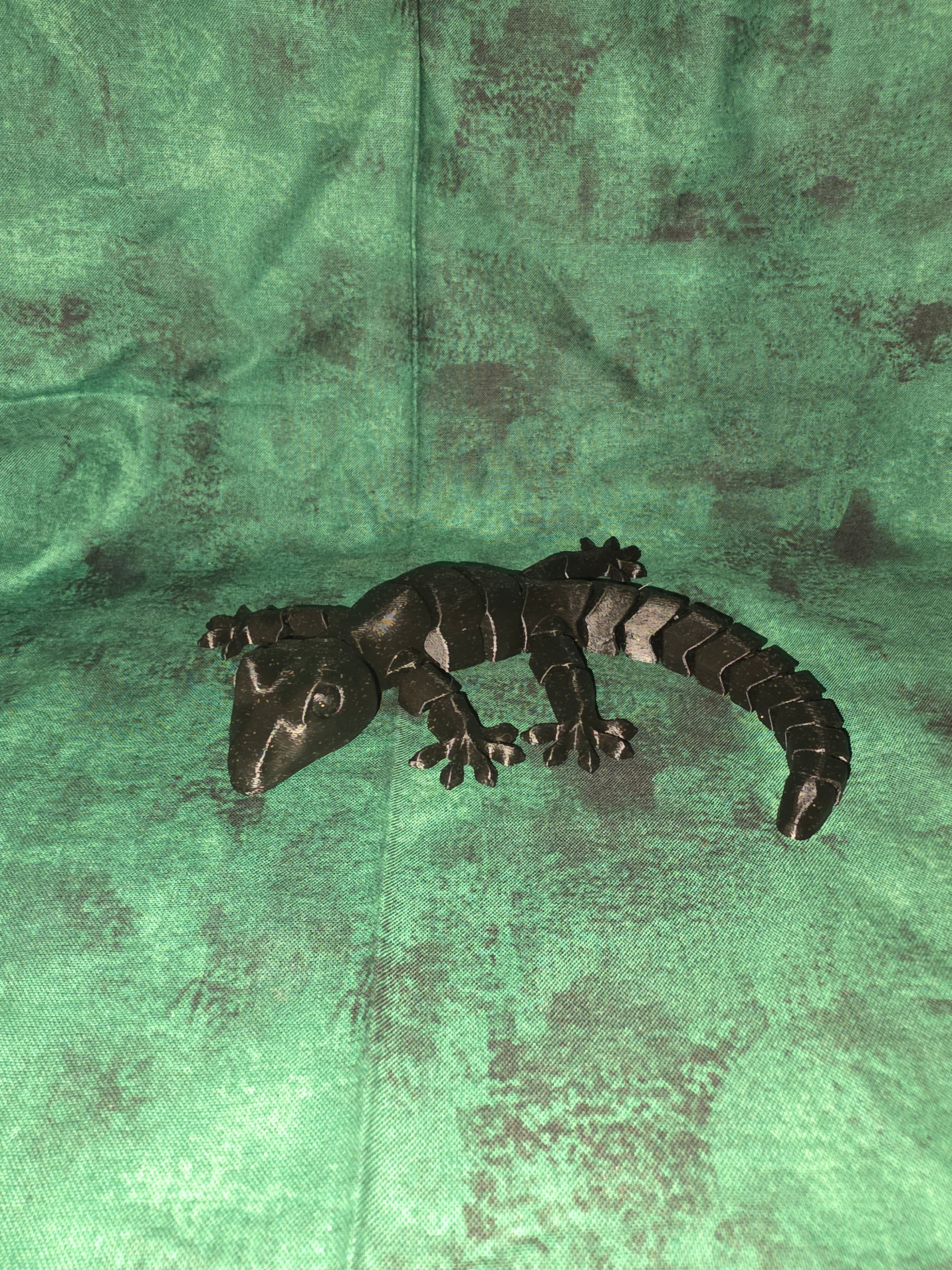 Black lizard