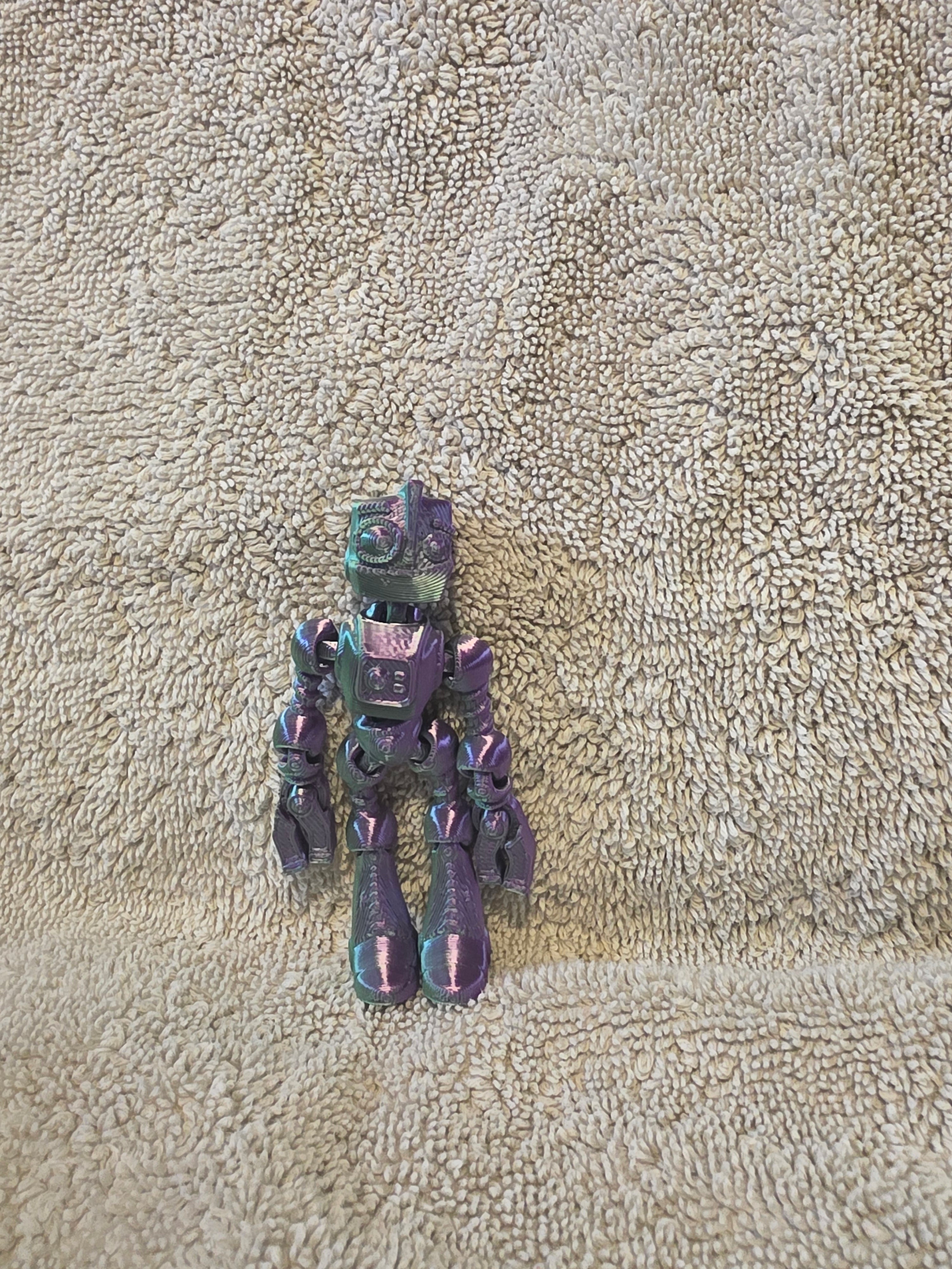 Robot