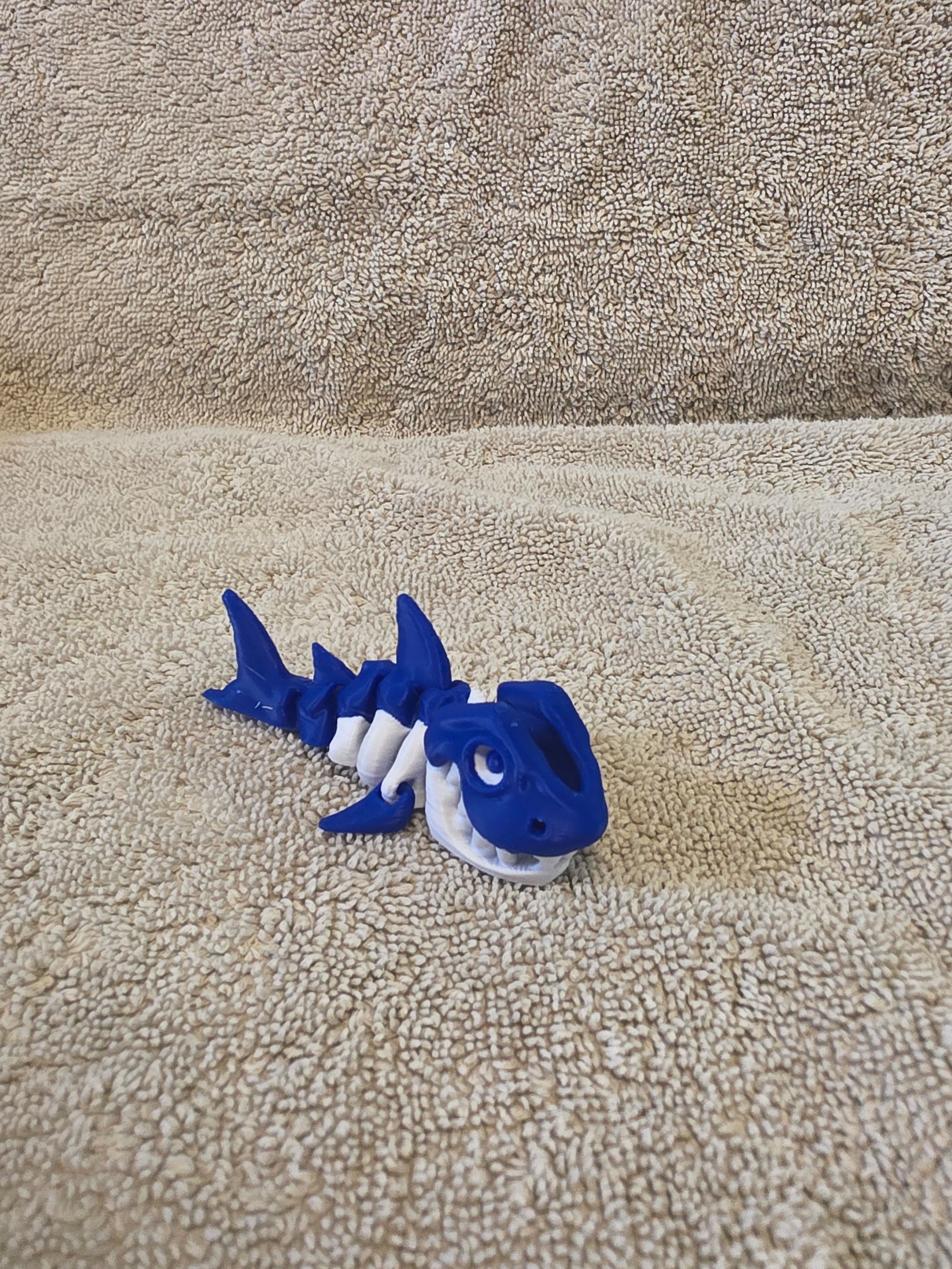Shark