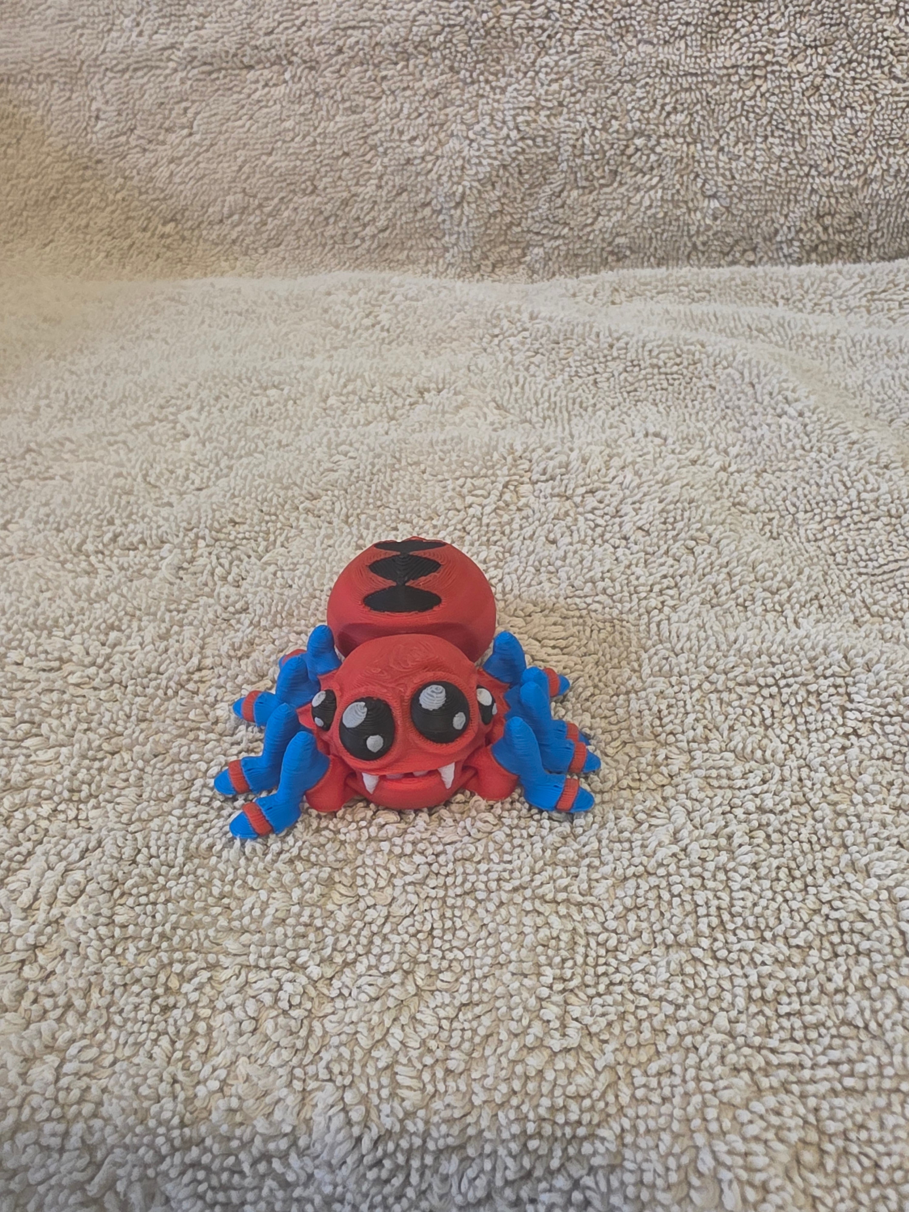 Spider