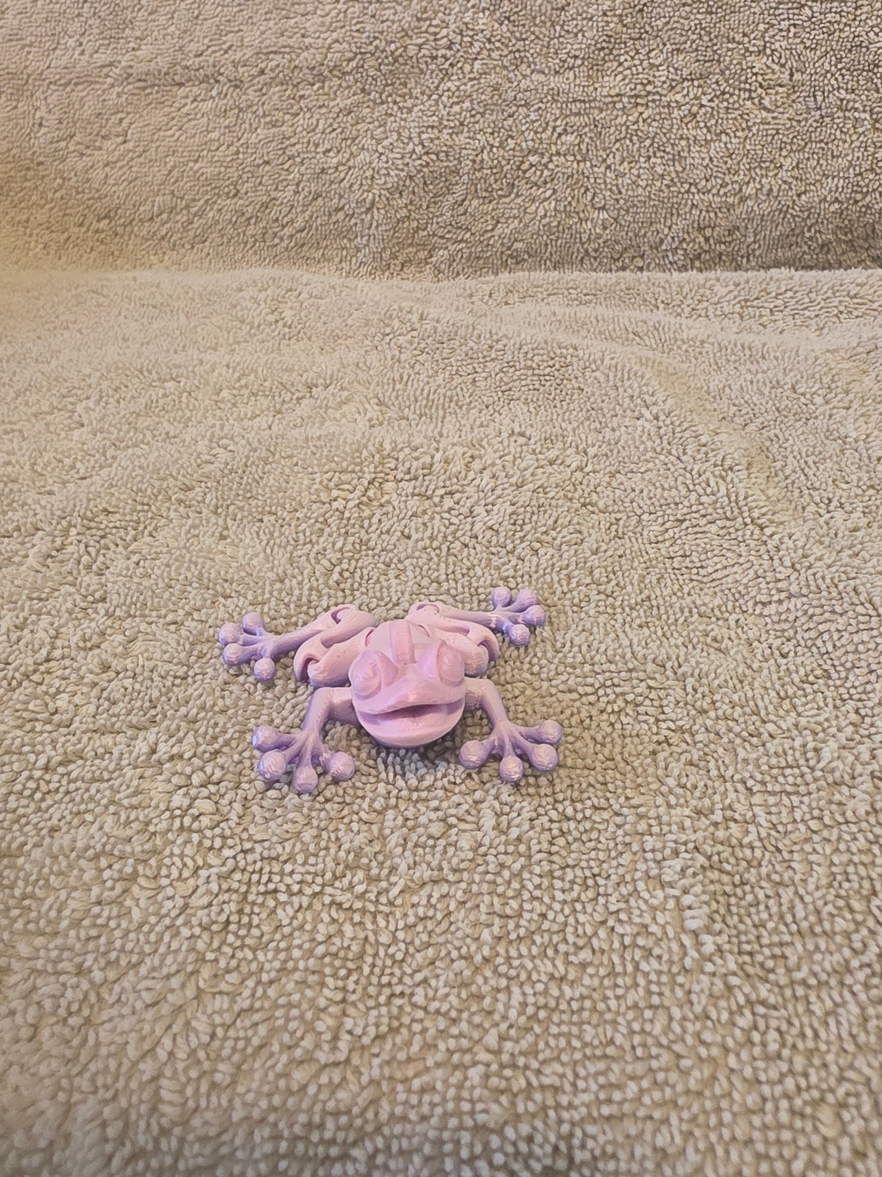 Frog key chain