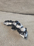 Skunk