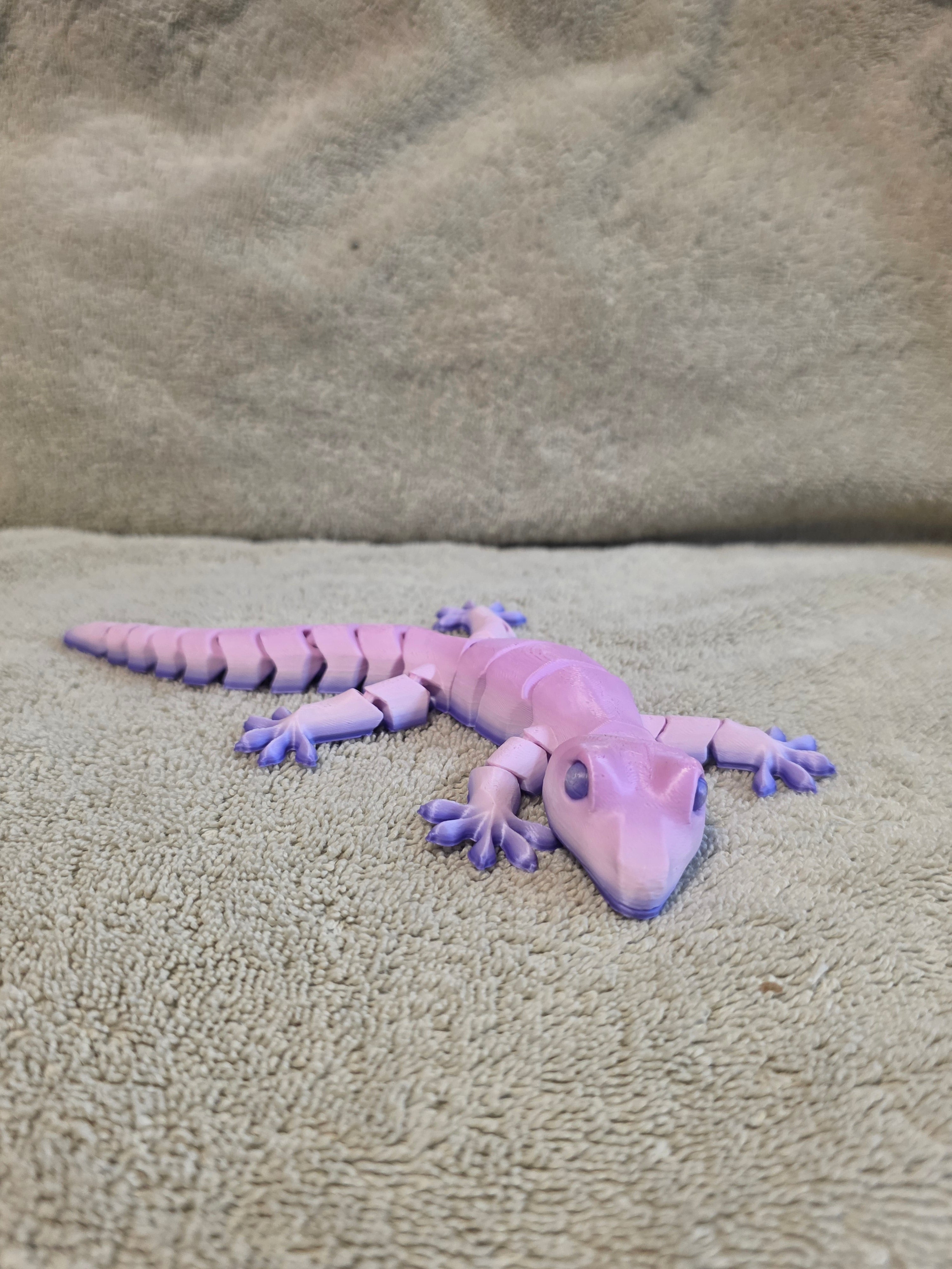 Lizard