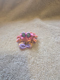 Multi color crab