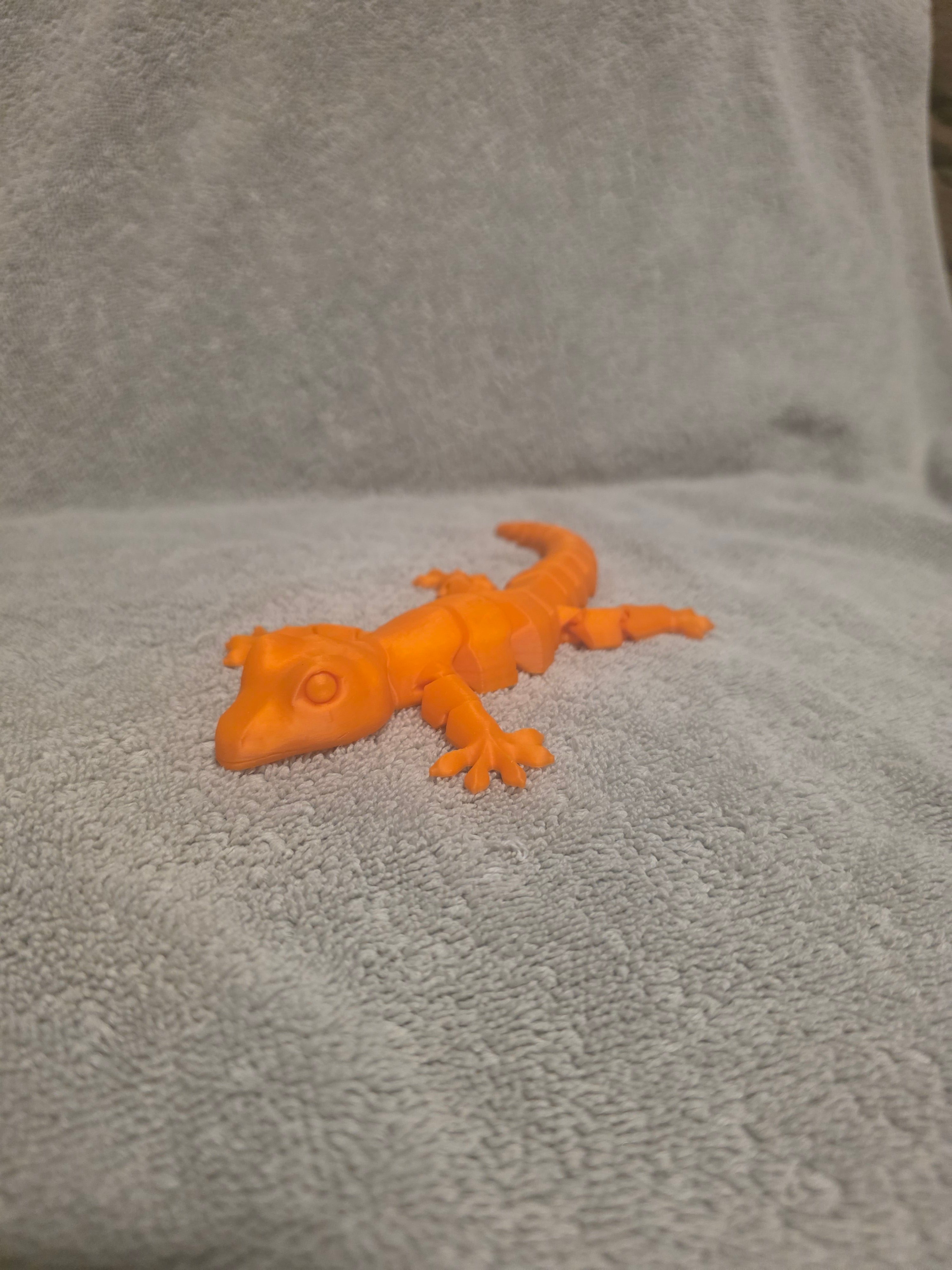 Orange lizard